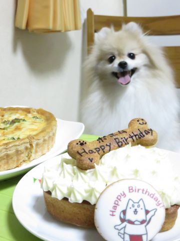 ニコさんのケーキでお祝いだよ♪