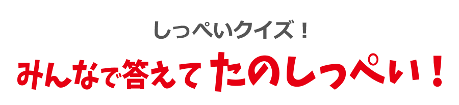 しっぺいクイズ！みんなで答えてたのしっぺい！