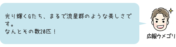お話5
