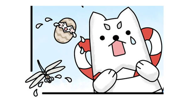 安心して泣いているトンボ